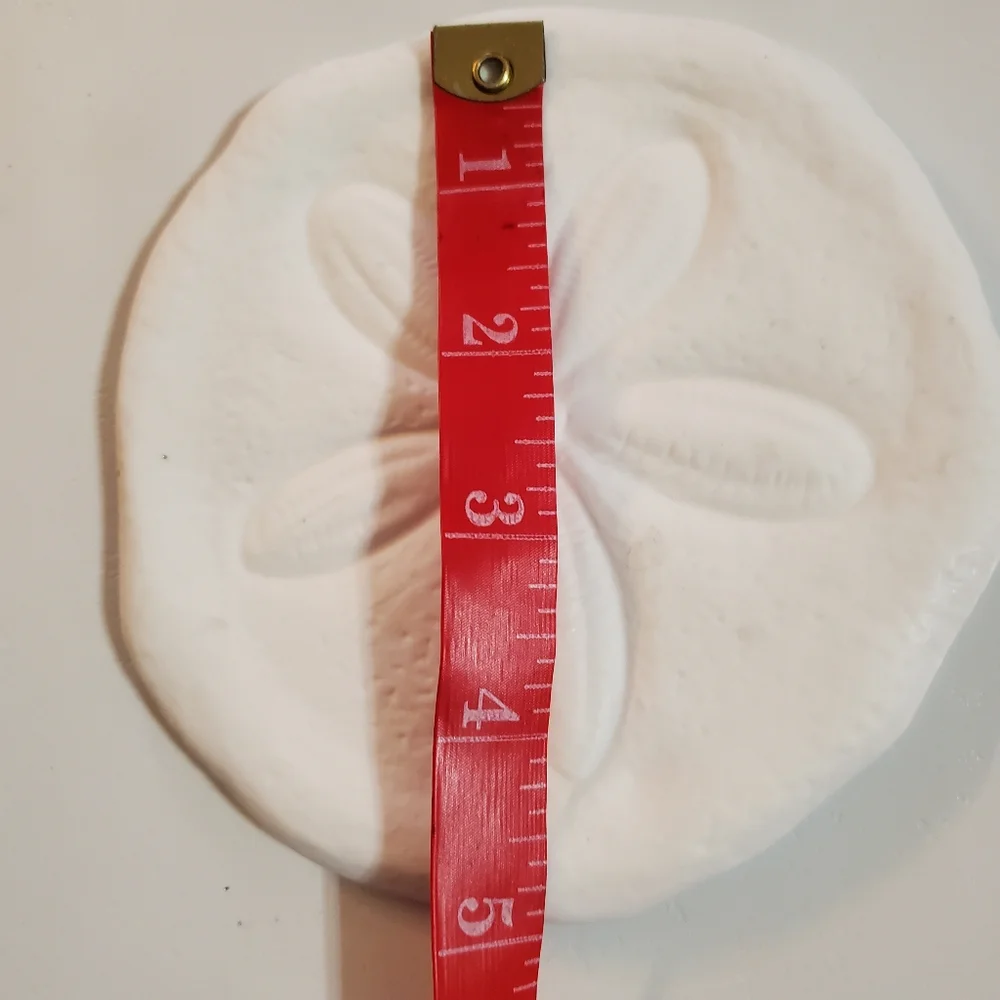Kohls sand dollar